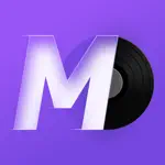 MD Vinyl - Music widget alternatives