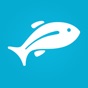 Similar Fishbox - Fishing Forecast App Apps
