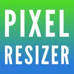 Pixel Resizer: Custom Metadata Alternatives