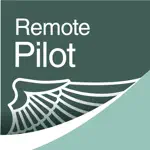 Prepware Remote Pilot alternatives