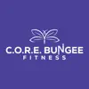 C.O.R.E. Bungee Fitness Alternatives