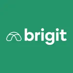 Brigit: Get $250 Cash Advance alternatives