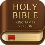 Bible Offline-KJV Holy Bible alternatives