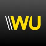 Western Union Send Money Now alternatives