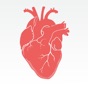 Similar Cardio Tools Apps
