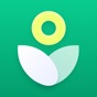 Similar PlantGuru - Plant Health Care Apps