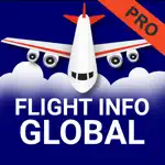 Flight Info Pro: FlightBoard alternatives