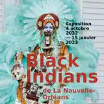 Black Indians Nouvelle-Orléans Alternatives