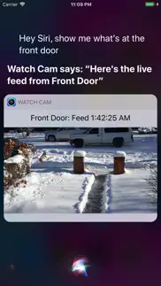 watch cam for nest cam alternatives 3
