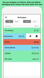 pennies – budget and expenses alternatives 2