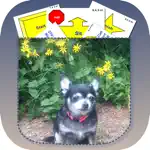 Pocket Rally Dog Obedience alternatives