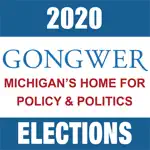 2020 Michigan Elections alternatives