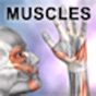 Similar Learn Muscles: Anatomy Apps