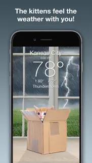 weather kitty: weather + radar alternatives 2