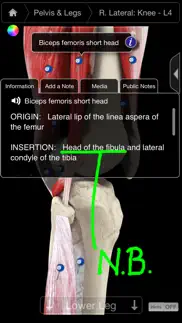 muscle system pro iii - iphone alternativer 2