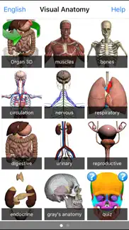 visual anatomy alternatives 5