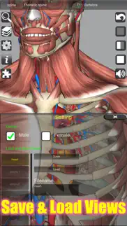 3d anatomy alternatives 4
