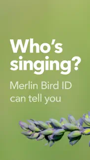 merlin bird id by cornell lab alternatives 1