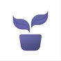 Similar Carl: Plant & Tree Identifier Apps