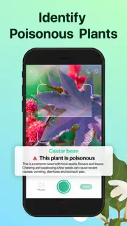 picturethis - plant identifier alternatives 6