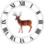 Similar Best Hunting Times Apps