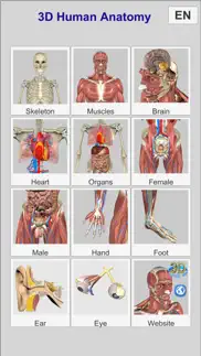 3d anatomy alternatives 3