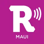 Maui Revealed Drive Tour alternatives