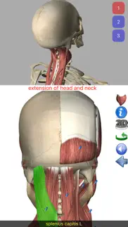 visual anatomy alternatives 10