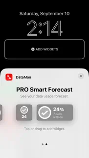 dataman - data usage widget alternatives 2