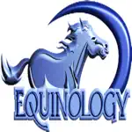 Equine Anatomy Learning Aid alternatives
