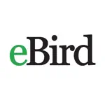 eBird alternatives
