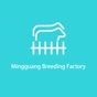 Similar Mingguang Breeding Factory Apps