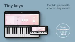 tines - electric piano alternativer 1