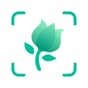 Similar PictureThis - Plant Identifier Apps