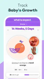 pregnancy & baby tracker - wte alternatives 1