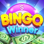 Bingo Winner - Win Real Money Alternatives
