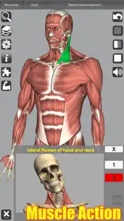 3d anatomy alternatives 1