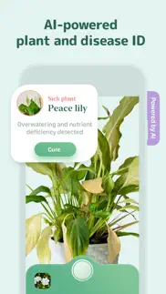 blossom - plant care guide alternatives 5
