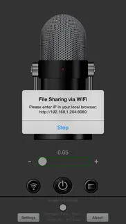 voice-activated recorder alternatives 2