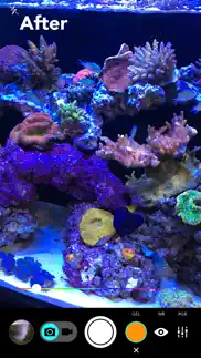 aquarium camera alternatives 2