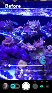 aquarium camera alternatives 1