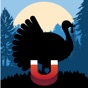 Similar Turkey Magnet - Turkey Calls Apps