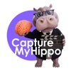 CaptureMyHippo Alternatives