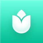 PlantIn: Plant Identifier alternatives