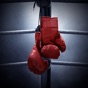 Similar Boxing Sound Effects Apps
