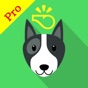 Similar Dog Whistle Pro clicker training and stop barking Apps
