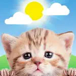 Weather Kitty: Weather + Radar alternatives
