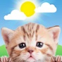 Similar Weather Kitty: Weather + Radar Apps