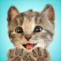 Similar Little Kitten Favorite Pet Cat Apps