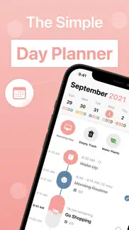 structured - daily planner alternatives 1